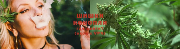 стаф Белоозёрский