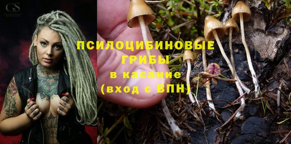 мескалин Пересвет