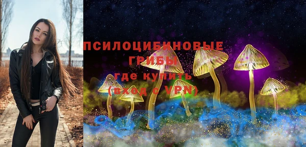 ешки Богородицк