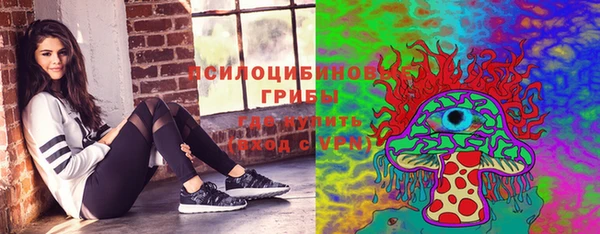 марки nbome Богданович