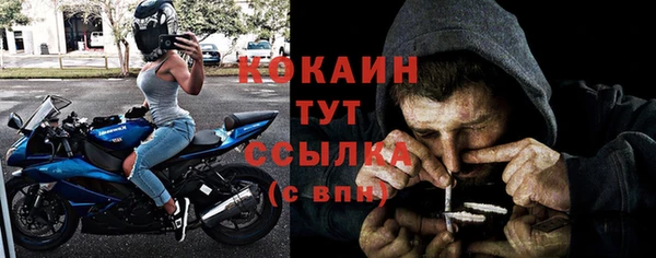 дмт Богородск