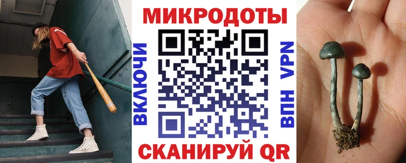Галлюциногенные грибы Cubensis где купить Озёрск