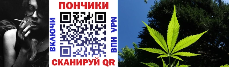 Канабис сатива  shop как зайти  Озёрск 